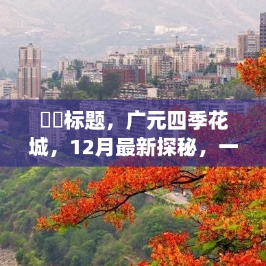 广元四季花城，12月最新探秘的自然美景心灵之旅