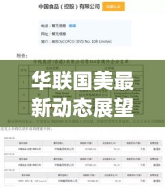 华联国美最新动态展望，未来消息解析与各方观点差异探讨