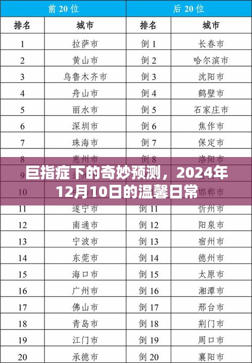 巨指症下的神奇预测，温馨日常在2024年12月10日揭晓