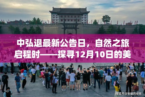 中弘退最新公告日启程探寻美丽奇迹——自然之旅的12月10日惊喜