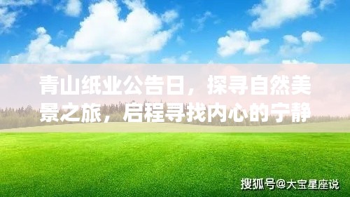 青山纸业公告日，探寻自然美景之旅，启程内心宁静平和之旅