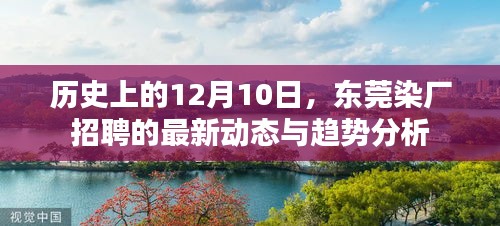 东莞染厂招聘最新动态及趋势分析，历史视角下的12月10日观察