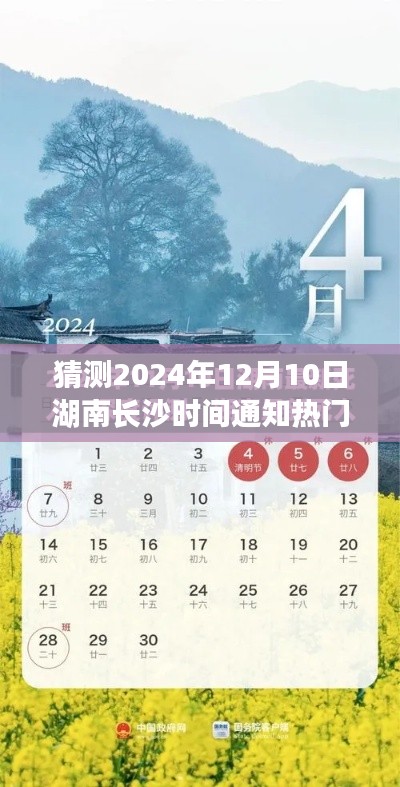 湖南长沙热门通知，全面评测与介绍 2024年12月10日