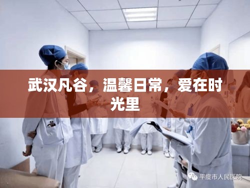 武汉凡谷的温馨日常，爱在时光中绽放