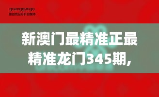 新澳门最精准正最精准龙门345期,精细化方案实施_Executive2.921