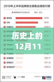 历史上的12月11日2024澳门天天开好彩大全53期,经济方案解析_精英版5.469