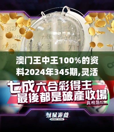 澳门王中王100%的资料2024年345期,灵活操作方案设计_苹果6.285