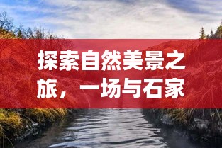 冬日自然探索之旅，石家庄市门窗厂的奇遇记