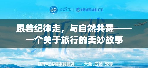 跟着纪律走，与自然共舞，旅行的美妙故事之旅