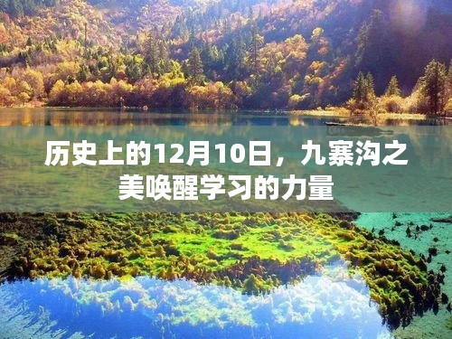 九寨沟之美唤醒学习力量，历史12月10日的印记