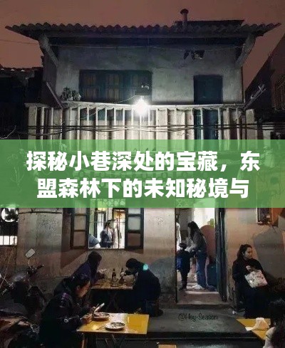 探秘东盟森林小巷深处的宝藏与特色小店的热门消息