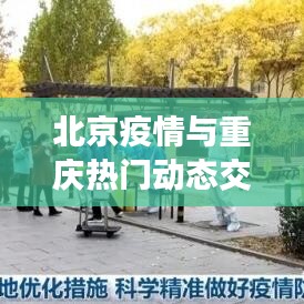 北京与重庆动态交汇，12月10日深度观察——疫情与热门动态