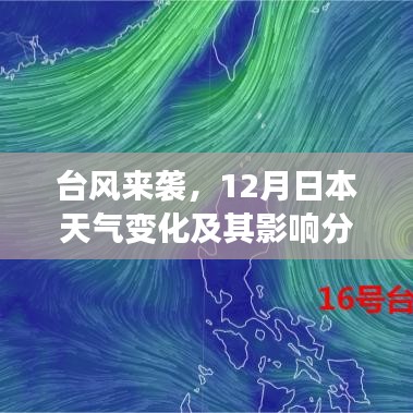 台风来袭对日本天气的影响分析，12月天气变化及其后果探讨