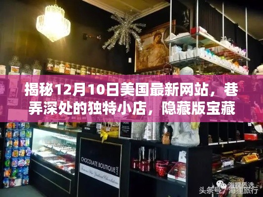 揭秘美国最新网站与巷弄深处的隐藏宝藏，12月10日独特小店探秘之旅！