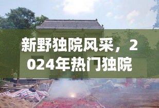 2024年新野独院风采解析，热门独院房型全展示