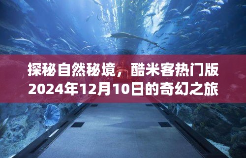 酷米客奇幻之旅，探秘自然秘境，寻找心灵宁静之地（2024年12月10日启程）