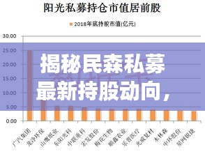 民森私募最新持股动向大揭秘，预测与解读至2024年12月10日的数据。