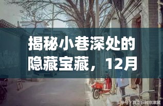 探秘小巷深处的隐藏宝藏，12月最新特色小店探秘之旅