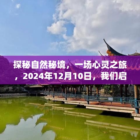 探秘自然秘境的心灵之旅，启程日期2024年12月10日