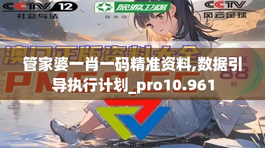 管家婆一肖一码精准资料,数据引导执行计划_pro10.961