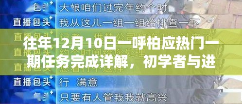 往年12月10日一呼柏应热门任务详解，初学者与进阶用户的操作指南