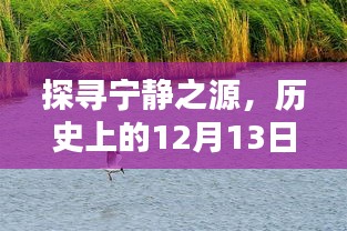 探寻宁静之源，楼盘开盘与自然美景的邂逅历史回顾——12月13日特辑