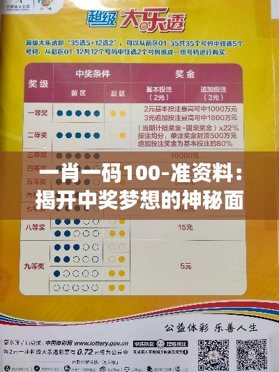 一肖一码100-准资料：揭开中奖梦想的神秘面纱