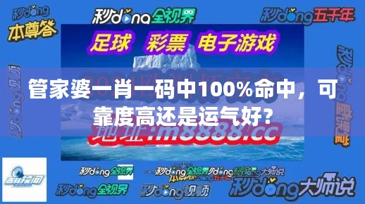 管家婆一肖一码中100%命中，可靠度高还是运气好？