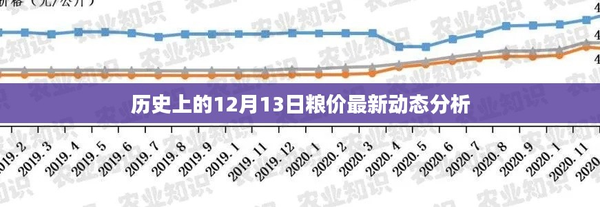 12月13日全球粮价动态分析与历史趋势观察