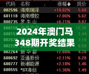 2024年澳门马348期开奖结果：速度与策略的双重测试