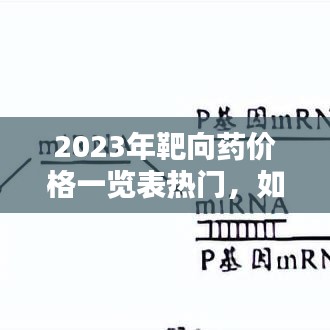 2023靶向药价格指南，轻松获取往年药品价格信息