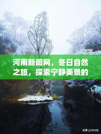 河南新闻网冬日自然之旅，探索宁静美景的梦幻旅程