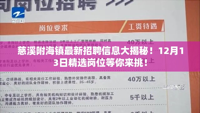 慈溪附海镇最新招聘精选岗位大揭秘，等你来挑战！