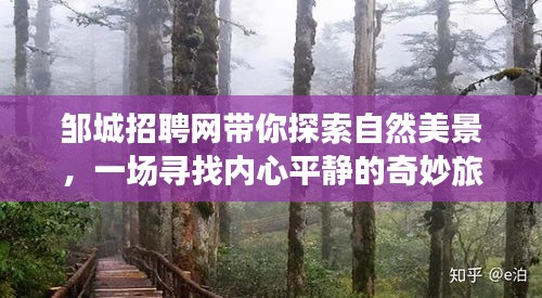 邹城招聘网，探索自然美景的奇妙旅程，寻找内心平静之旅