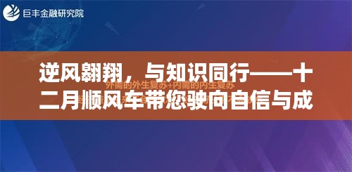 2024年12月13日 第7页