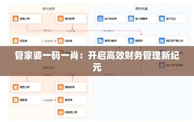 管家婆一码一肖：开启高效财务管理新纪元