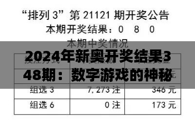 2024年新奥开奖结果348期：数字游戏的神秘魅力