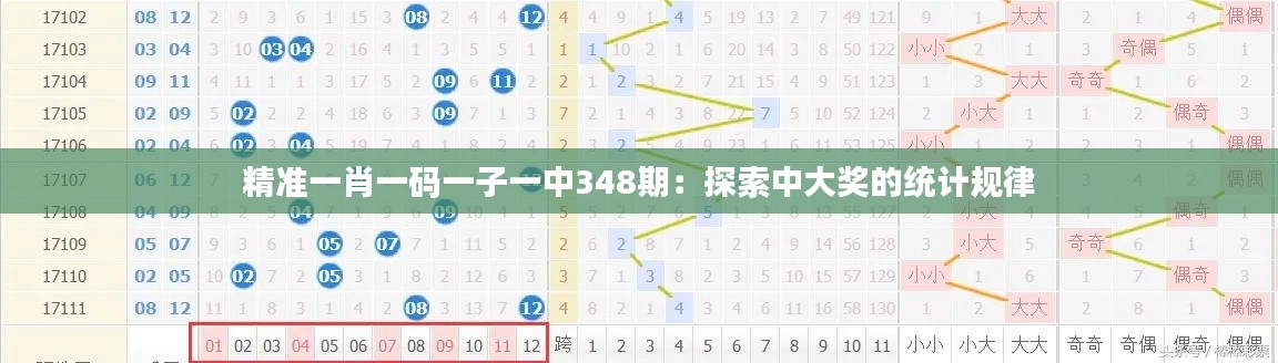 精准一肖一码一子一中348期：探索中大奖的统计规律