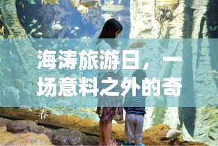 海涛旅游日，意外奇妙之旅与温馨回忆之旅