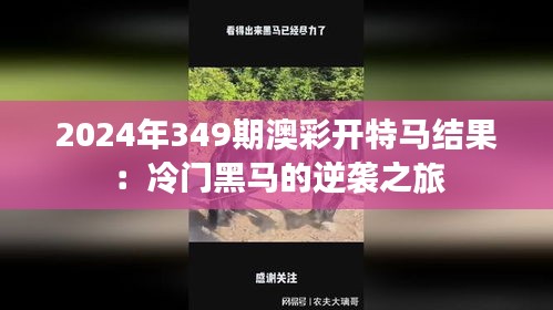 2024年349期澳彩开特马结果：冷门黑马的逆袭之旅