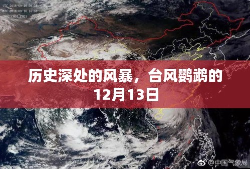 历史深处的风暴，台风鹦鹉的袭击——12月13日纪实