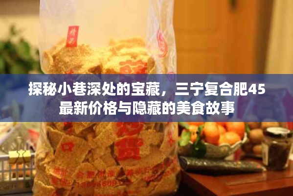 探秘小巷深处的宝藏，三宁复合肥最新价格与美食故事揭秘