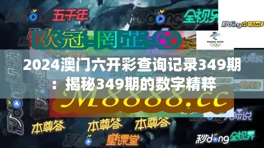 2024澳门六开彩查询记录349期：揭秘349期的数字精粹