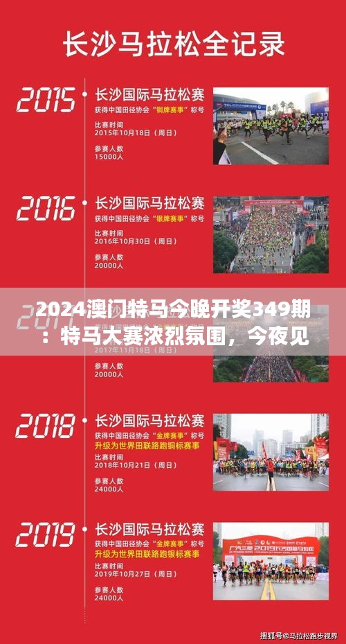 2024澳门特马今晚开奖349期：特马大赛浓烈氛围，今夜见分晓