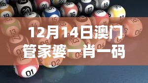 12月14日澳门管家婆一肖一码一中一：个人见解与体会分享