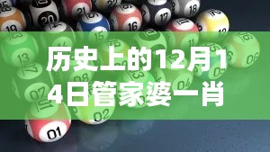 历史上的12月14日管家婆一肖一码最准资料公开：一码定一肖，财源滚滚来