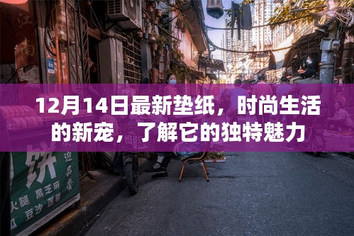 时尚新宠，12月最新垫纸独特魅力解析