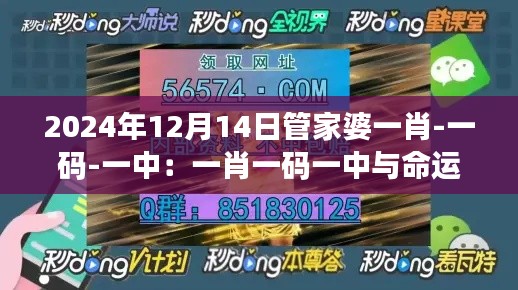 2024年12月14日管家婆一肖-一码-一中：一肖一码一中与命运的不可预测性