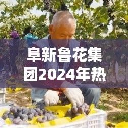 阜新鲁花集团2024年招聘热点解析