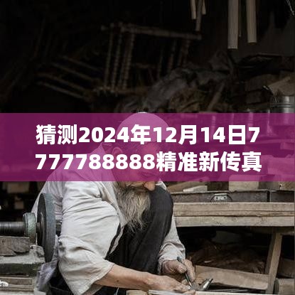 2024年12月14日 第9页